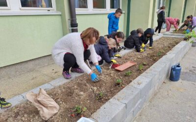 Uspješno proveden projekt Školski ekovrt