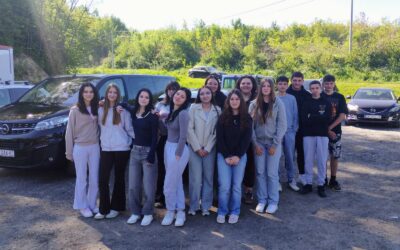 Profesionalno informiranje i usmjeravanje učenika osmog razreda